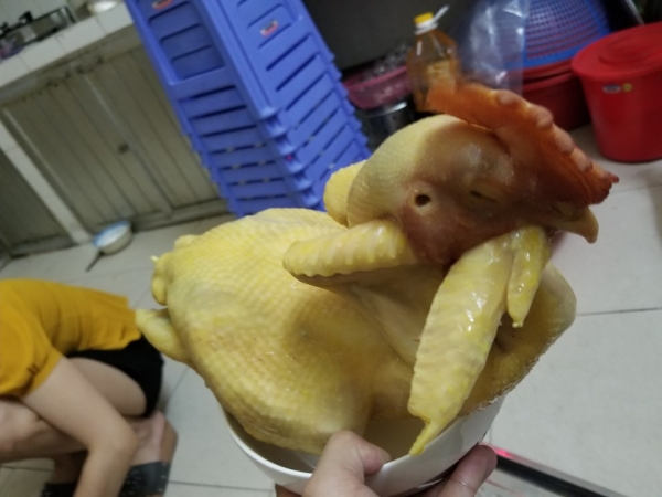 Gà Trống Cúng Size 2,5-2,7 Kg 1 đặt gà cúng 1