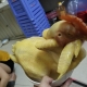 đặt gà cúng 1