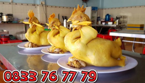 ga cung size 2kg