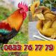 Gà Tre Cúng Cao Cấp 7 ga tre cung