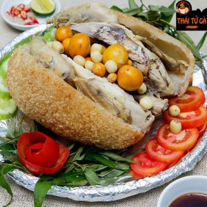 ga bo xoi trung non